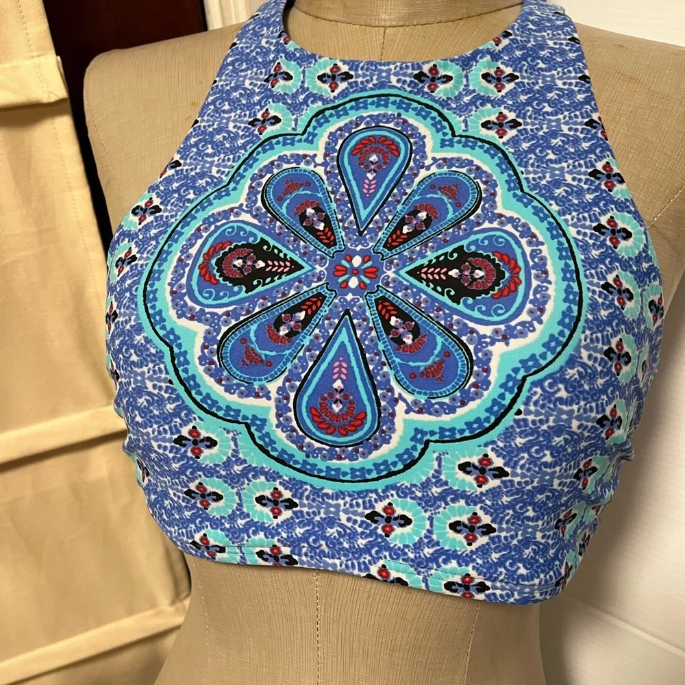 Holllister size large bikini